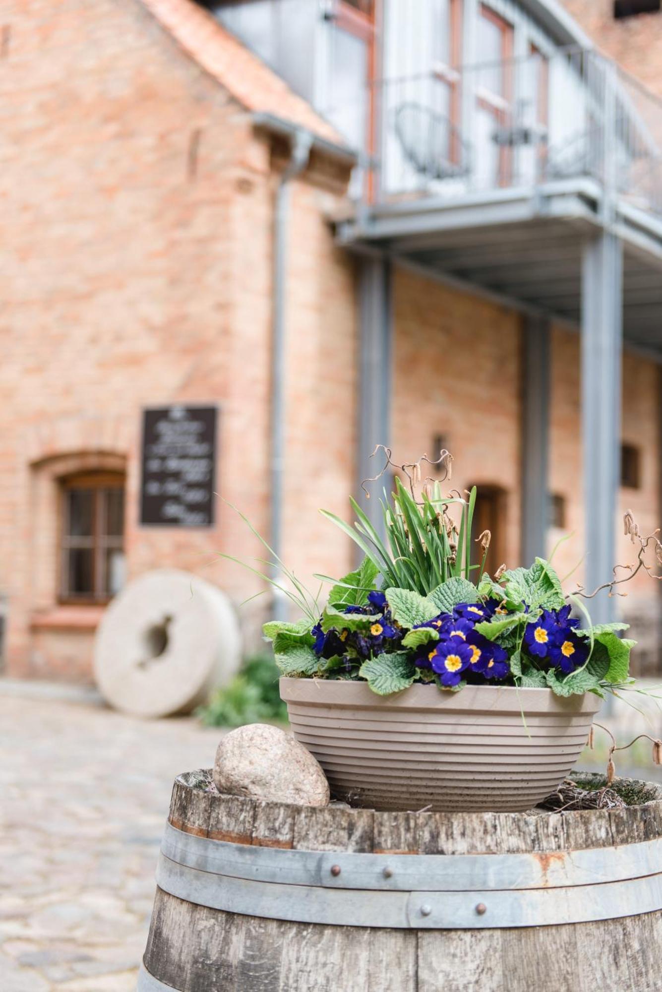 Hotel Mühle Tornow Exteriér fotografie